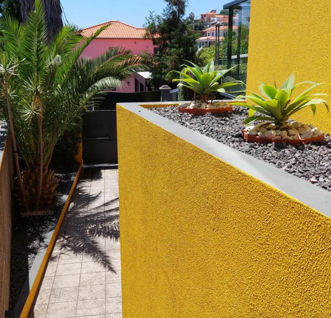 Villa Strelitzia Funchal