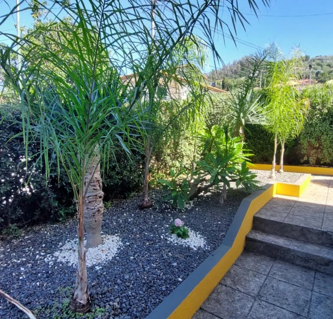 Villa Strelitzia Funchal